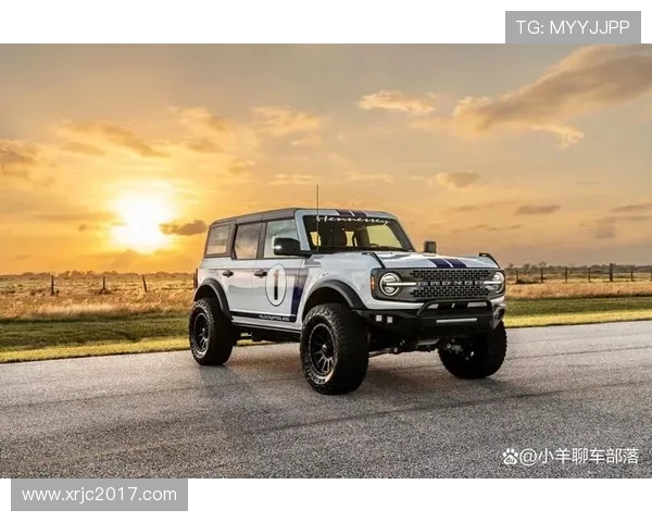 维特斯新赛季进攻套路升级，展现强劲竞争力备受关注